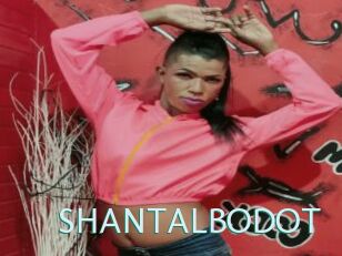 SHANTALBODOT