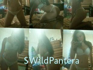 SWildPantera