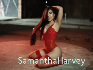 SamanthaHarvey Straponles