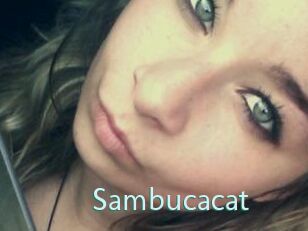 Sambucacat