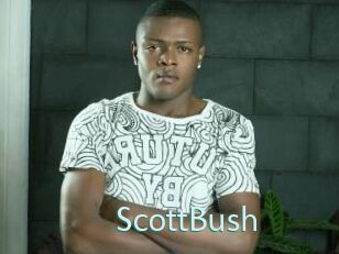 ScottBush
