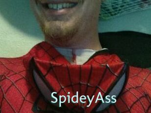 SpideyAss
