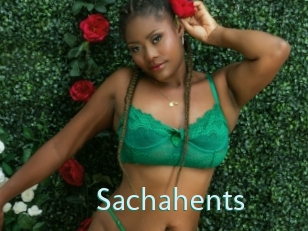 Sachahents