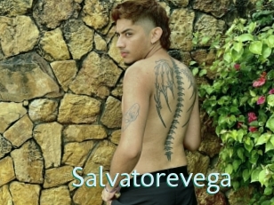 Salvatorevega
