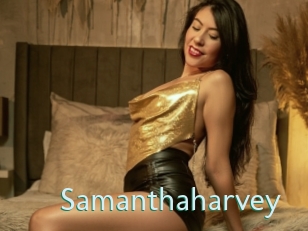 samanthaharvey Straponles