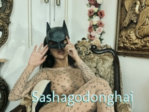 Sashagodonghai