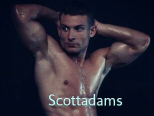 Scottadams