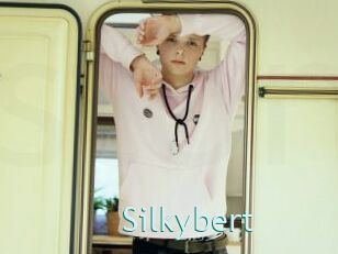 Silkybert