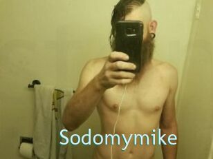 Sodomymike