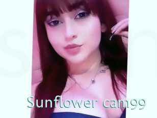 Sunflower_cam99
