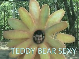 TEDDY_BEAR_SEXY