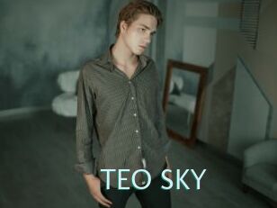 TEO_SKY