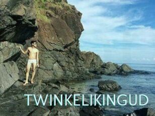 TWINKELIKINGUD