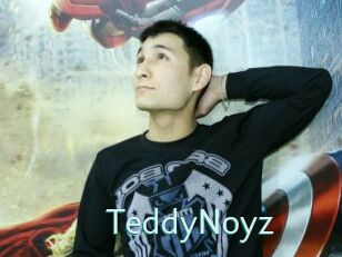 TeddyNoyz