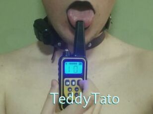 TeddyTato