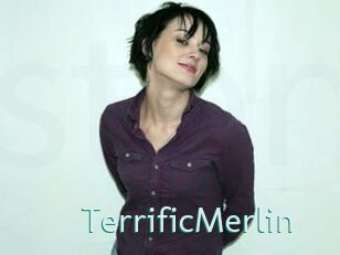 TerrificMerlin