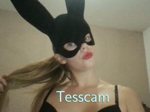 Tesscam