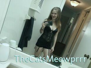 TheCatsMeowprrr