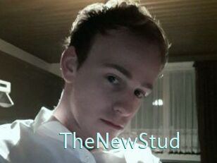 TheNewStud