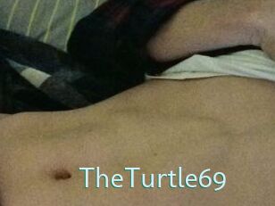 TheTurtle69