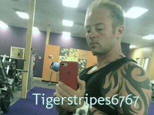 Tigerstripes6767