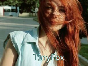 TinyFox