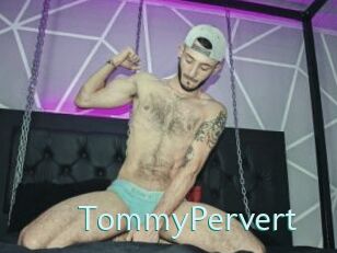 TommyPervert Straponles