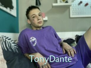 TonyDante Straponles
