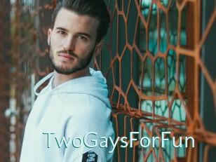 TwoGaysForFun