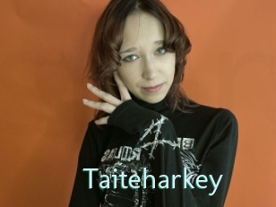 Taiteharkey