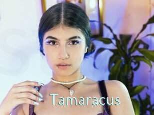 Tamaracus