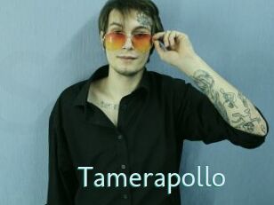 Tamerapollo