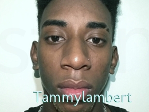 Tammylambert