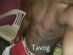 Tavog