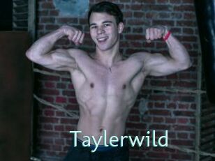 Taylerwild