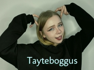 Tayteboggus