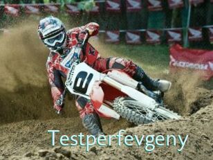 Testperfevgeny