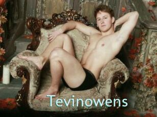 Tevinowens