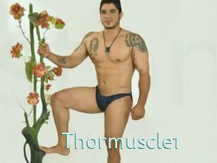 Thormuscle1