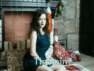 Tinamini