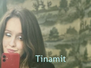 Tinamit