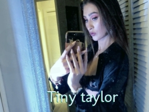 Tiny_taylor