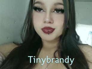 Tinybrandy