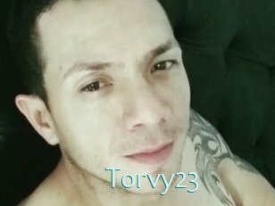 Torvy23