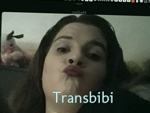 Transbibi