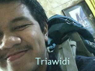 Triawidi