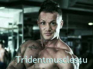 Tridentmuscles4u