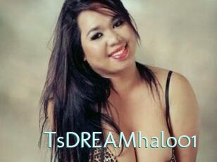 TsDREAMhalo01