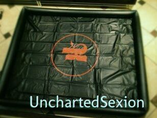 UnchartedSexion