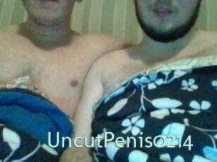 UncutPenis0214